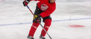 Piteåkaptenen topprankad i landets Hockeyettor "Wrenman hade varit given på min lista"