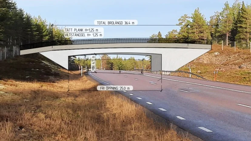 Så här föreslås den nya bron för djur vara utformad. 
