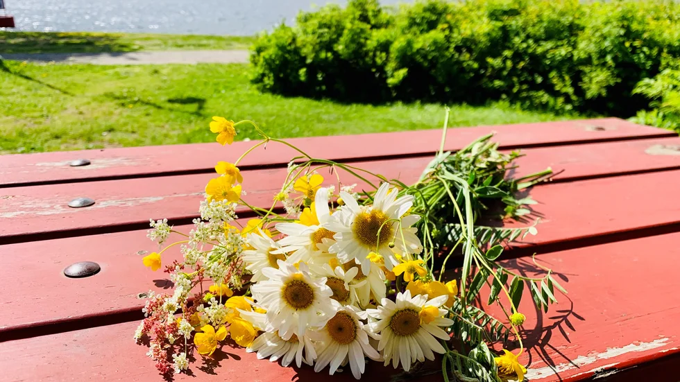 Sju sorters blommor hör till Midsommaraftonens magi.