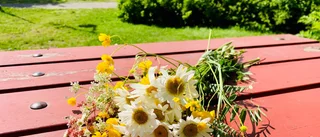 Läsarbilden: Sju sorters blommor på Midsommarafton