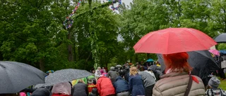 Klassiskt midsommarväder – fram med paraplyet