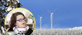 Hård kritik riktas mot Pajalas planer för mer vindkraft