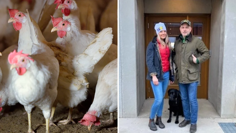 Larmet om fågelinfluensa påverkar många äggproducenter. Maria och Gustaf Eriksson har stängt sin äggbod och tar inte emot besök på gården just nu. 