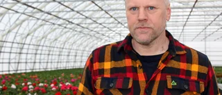 Fem år efter branden – nu blomstrar de ur askan: ”Tagit lång tid att bygga upp oss själva”