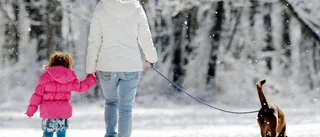 Hundar och barn – vilken märklig jämförelse