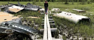 Sommartipset: Tre annorlunda naturutflykter
