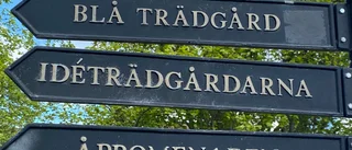 Årets Trädgårdsdag blir digital Trädgårdsvecka