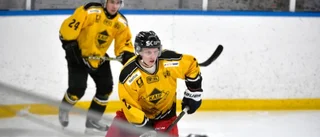Hockeytrean: Krekula fortsätter att göra poäng – MG/Arvidsjaur tog revansch