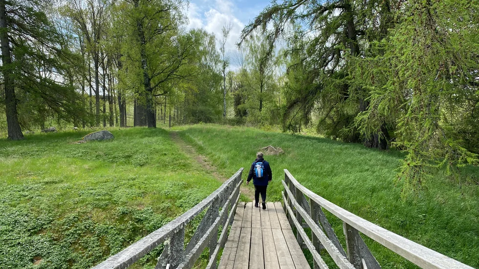 En vandring på historisk mark, som Birgittas udde vid sjön Boren, ger både njutningen av själva vandringen och lite spännande att lära på vägen.