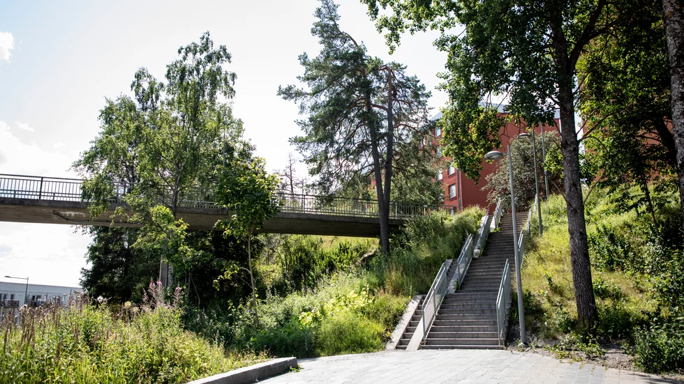 Gängkriminaliteten. Från gångbron i Visättra kom skotten som träffade två lekande barn.