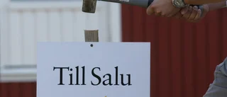 Piteåmäklare får en varning