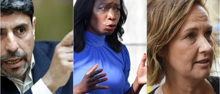 Sabuni, Rojas och Blom har rätt om integrationen