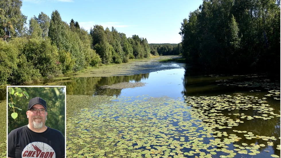 Sävastån håller på att växa igen. Ingemar Nordenberg vill att man ökar flödet och vattennivån.