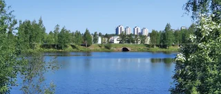 Lövskatan ingen bakgård för industri