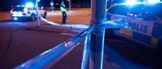 Granatliknande objekt i Farsta strand ofarligt