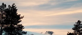 Läsarnas egna bilder av sommaren