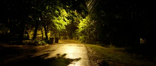Överfölls av tre på nattlig promenad