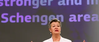"Lita på varandra" – så ska EU rädda rörligheten