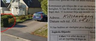 Kommunen gör krafttag mot häckarna – därför måste de klippas: "Samma regler i hela landet"