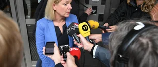 Varken jobb eller tillväxt med Andersson (S)