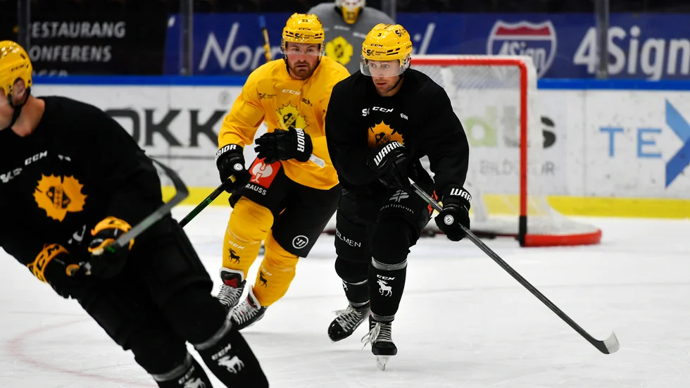 "Jag tycker att vi spelar en väldigt underhållande, snabb och tempofylld hockey", säger Michael Kapla om omställningen till Skellefteå AIK.