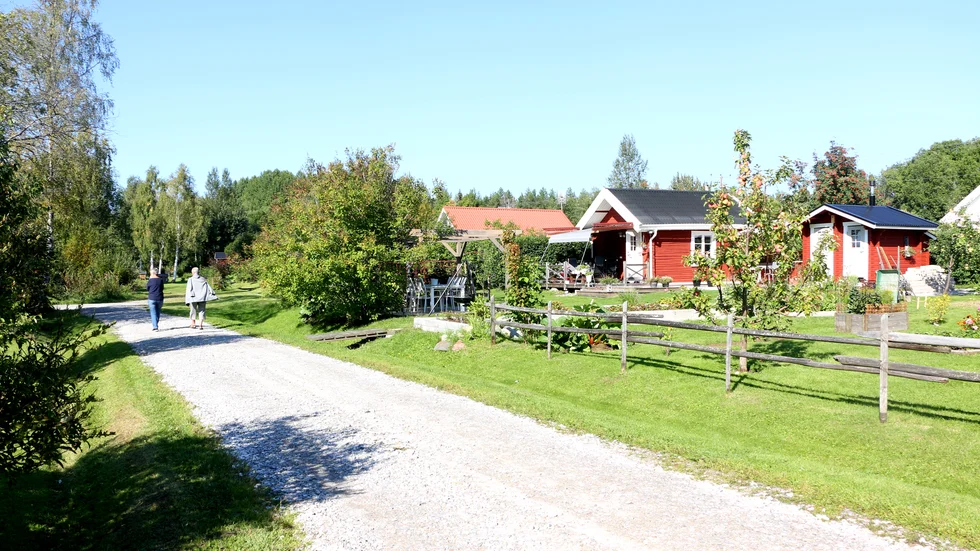 Fårölotten, som firar 30-årsjubileum nästa år, kommer att få en ny detaljplan inom kort. Byggrätten blir på totalt 42 kvadratmeter jämfört med dagens 25. (Arkivbild)