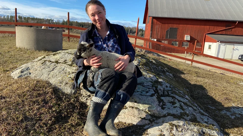 Gården drivs helt ekologiskt och det finns även grisar och kor.