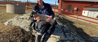 Erika i Tystberga ny ordförande för ekologiska bönder