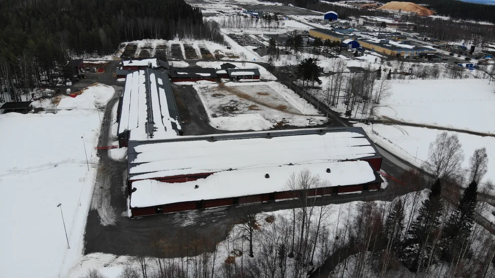 Takras på Skellefteå ridklubbs gäststall.