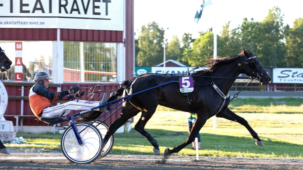 Liquify'em tävlar om 220 000 kronor i lördagens V75-final på Solvalla.