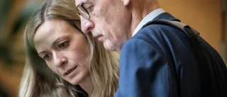 Kravet: Livstids fängelse och utvisning för mordet