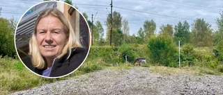Dansk firma utför renoveringsarbeten i stan: "En slags strumpa"