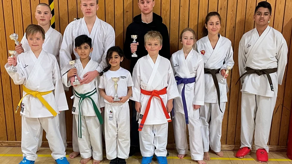 Fin medaljskörd för Norrköpings Sportkarate.