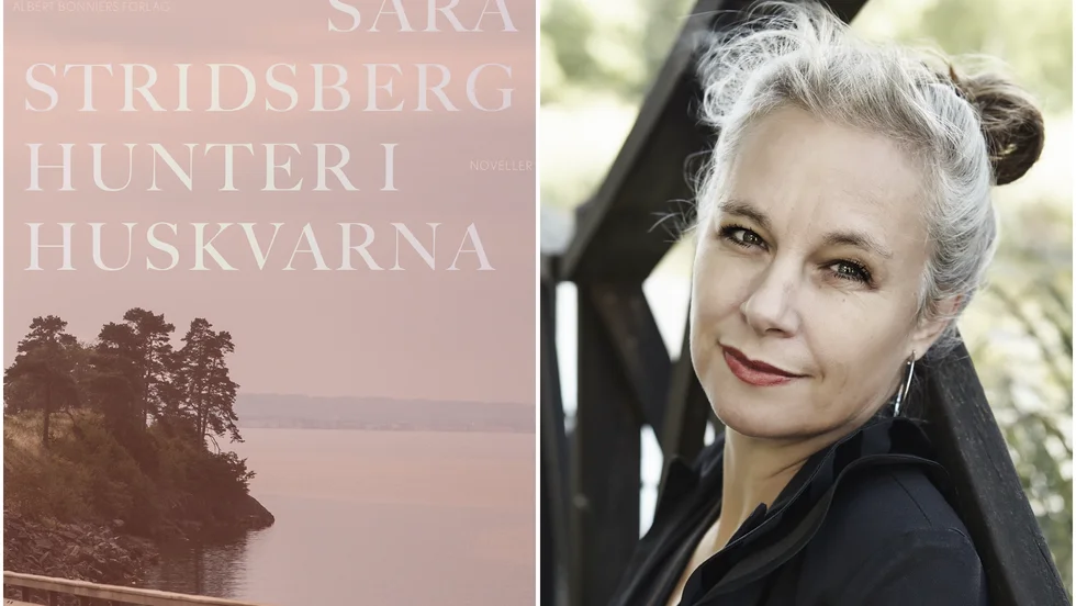 Sara Stridsbergs novellsamling "Hunter i Husqvarna" gillas av GT:s litteraturkritiker.