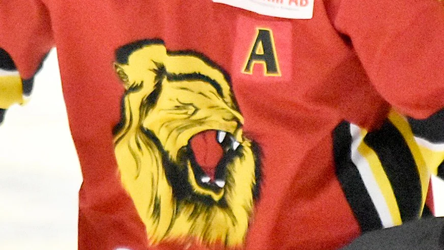 Lejonungar. SK Lejon vill starta flickhockey. Det saknas tjejlag i Skellefteå Kraft Arena.