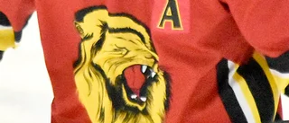 Lejon vill starta flickhockey