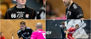 Här är förklaringen till succén för Libk