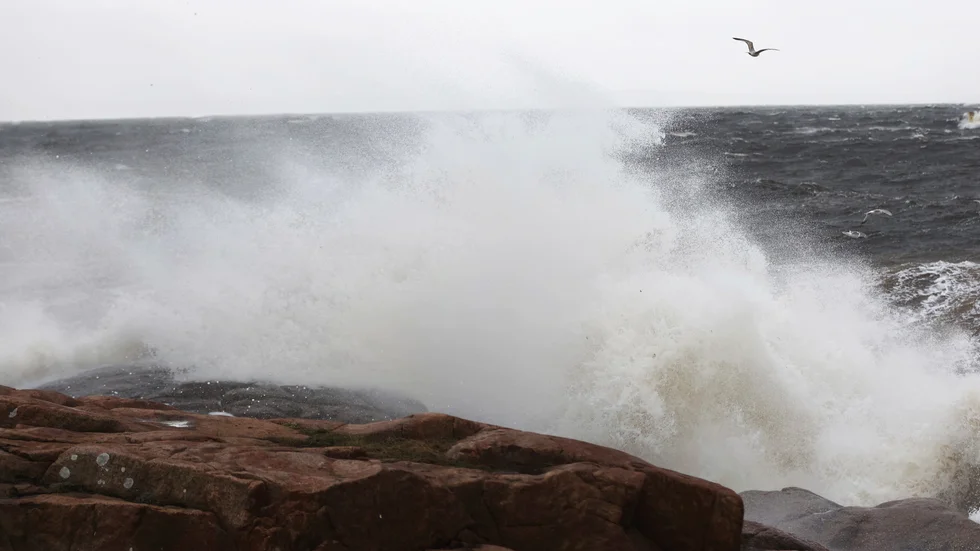 Vågor som bryts på havsytan bidrar till att giftiga PFAS-ämnen återvänder från havet till land, visar en svensk studie. Arkivbild.