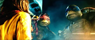 Teenage Mutant Ninja Turtles