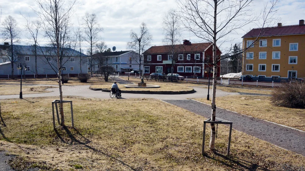 Johannaparken Det är mer än 80 år sedan Johannaparken anlades i Arvids­jaur. Foto: Sofie Abrahamsson