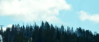 Skogsbrand i Tjamstanbackarna