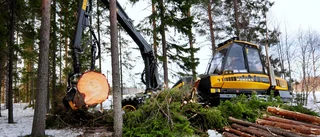Därför är skogsägaren viktig för miljöpolitiken
