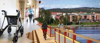 Insändare: Skola och äldrevård viktigare än bro och kulturhus
