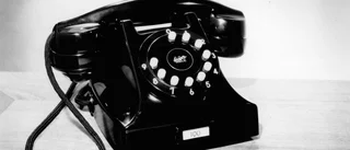 Tjälen bakom teletrassel