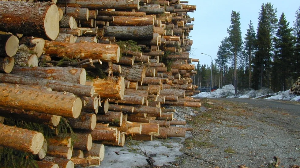 Foto: Lennart Enkvist.
