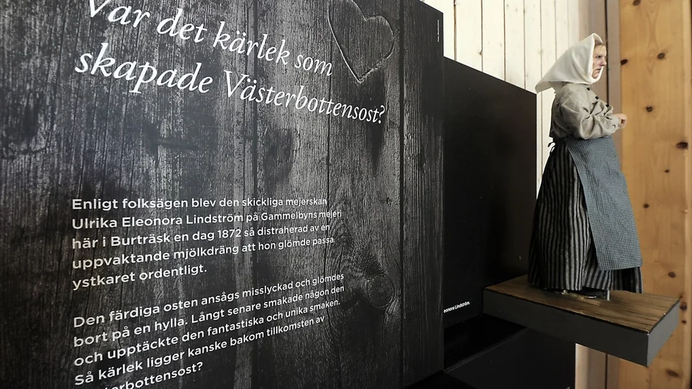 Designen av Västerbottensost center i Burträsk kom på sjunde plats av sexton tävlande bidrag. (Foto: Roine Sandlén)