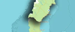 För framgång krävs att gräsrötterna engageras