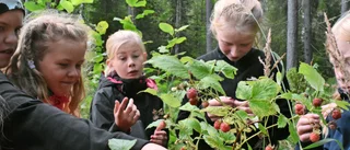 Låt barnen komma ut i naturen i sommar