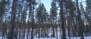 Inga fler naturreservat - om kommunen får bestämma