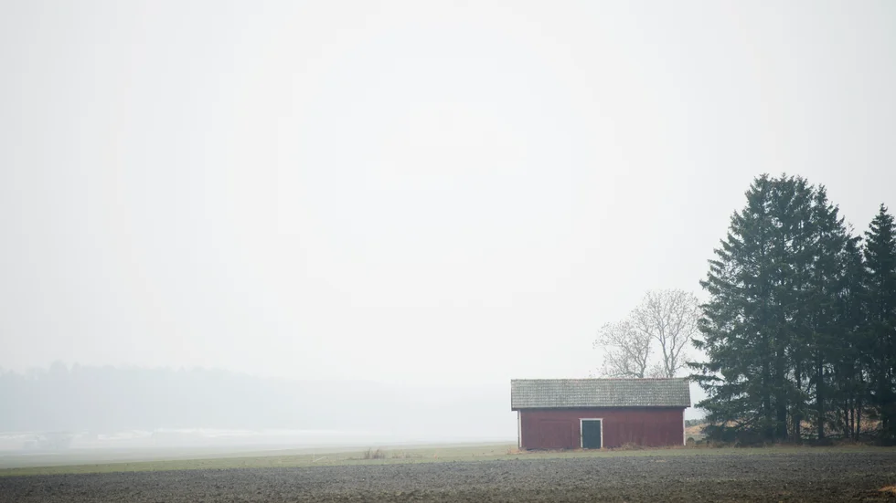 Foto: FREDRIK SANDBERG / TT.